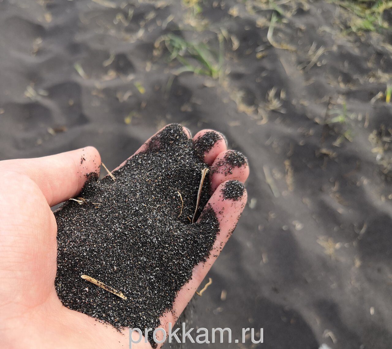 Черные пески Халактырского пляжа